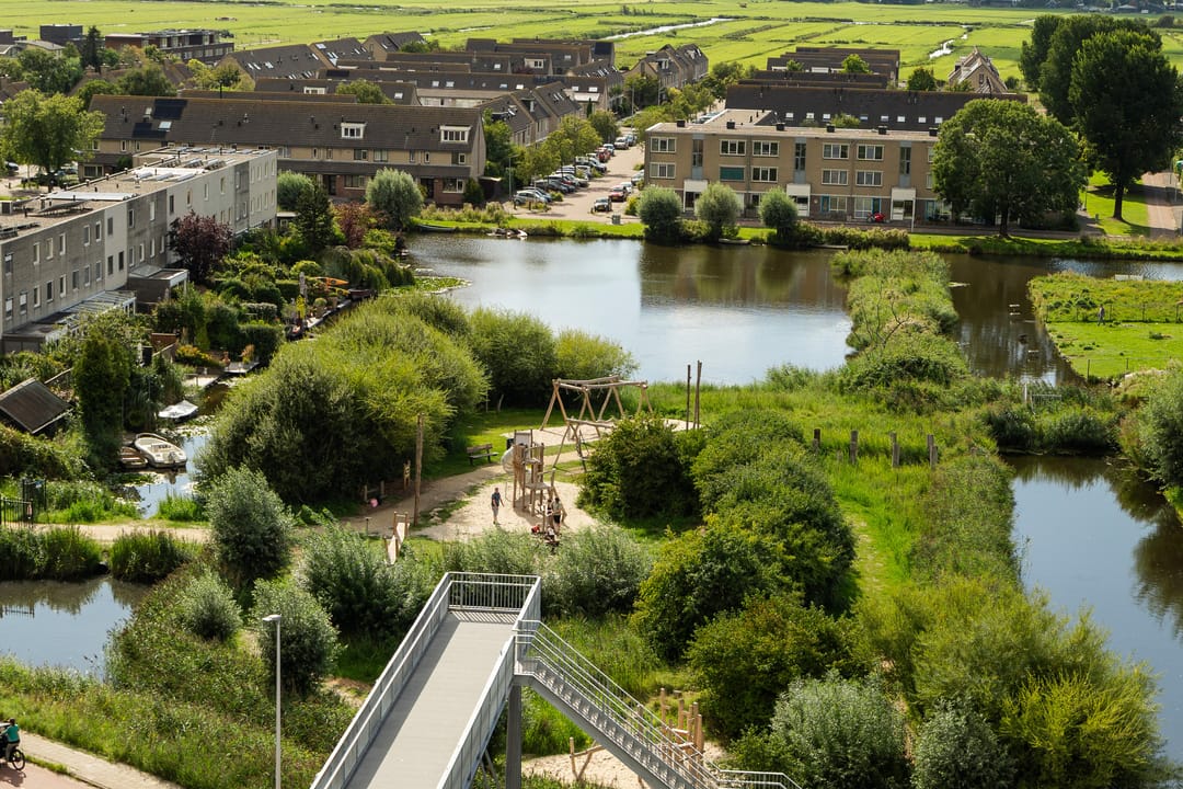 Foto 8 van Mahoniehout 443