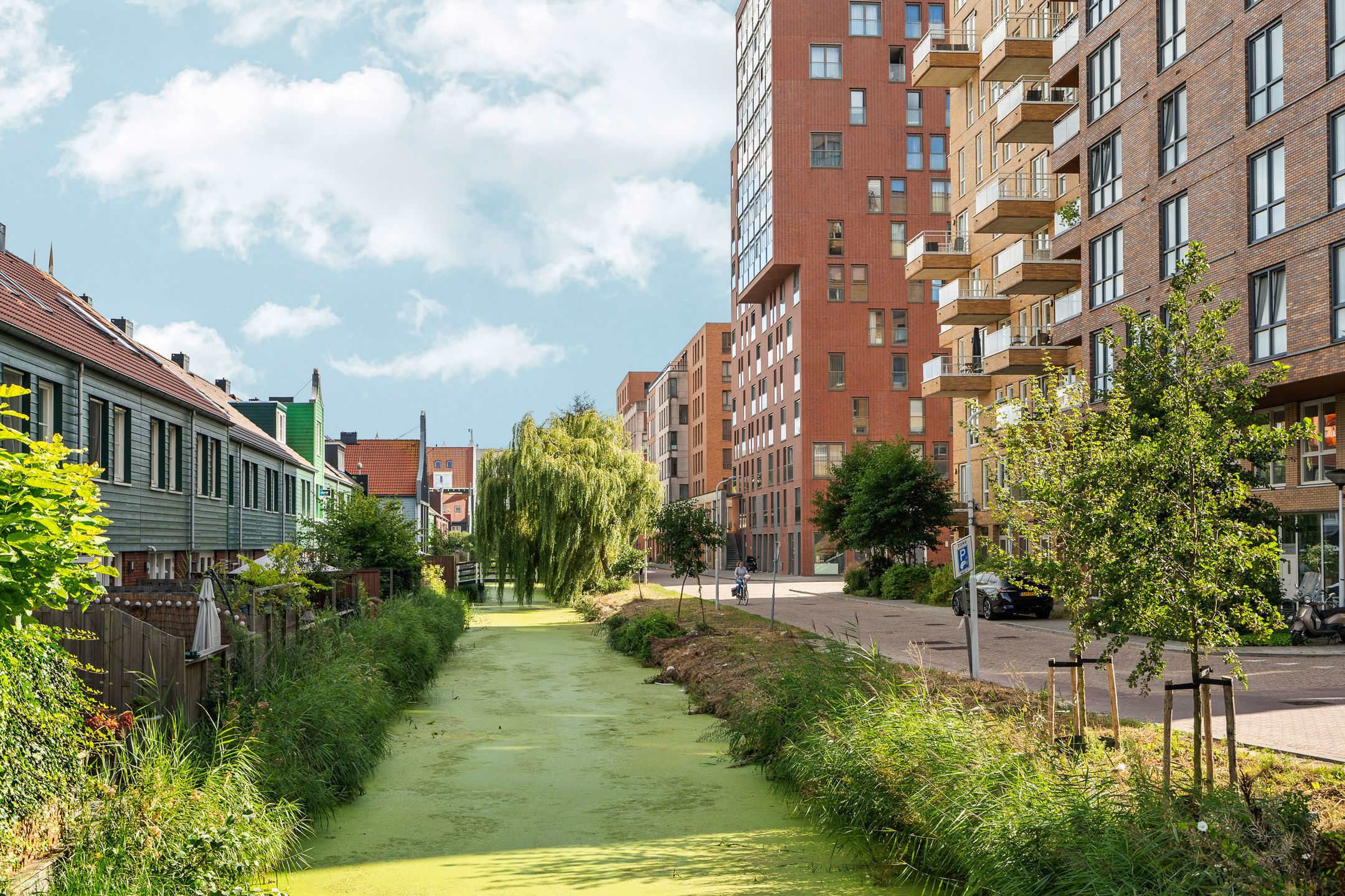 Foto 33 van Mahoniehout 443