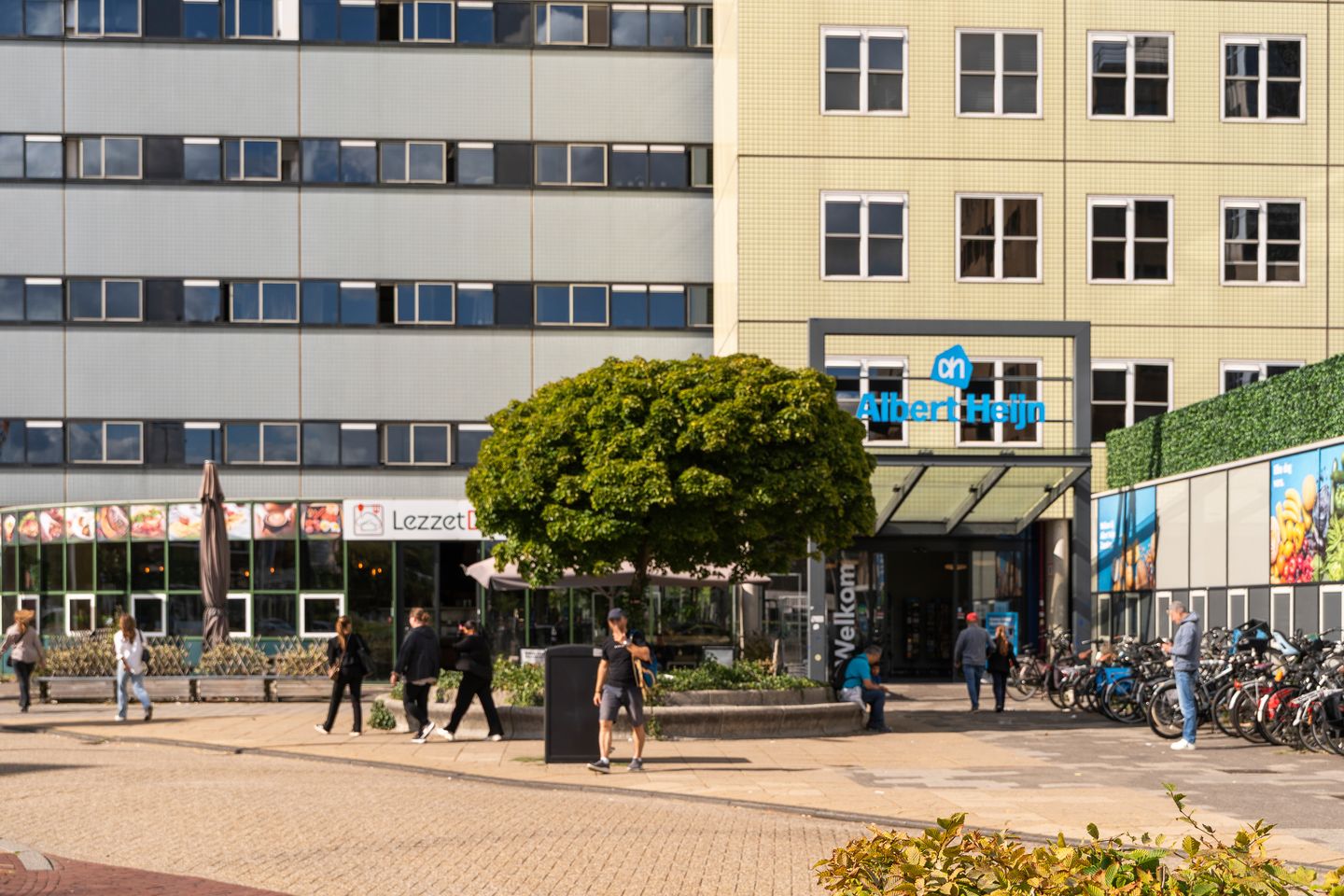 Foto 35 van Mahoniehout 443