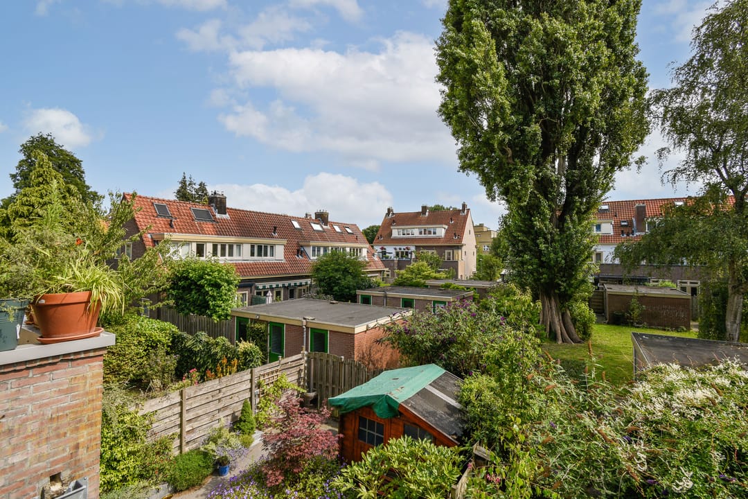 Foto 11 van Veeteeltstraat 95-B