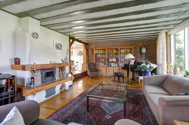 Foto 4 van het Boerrigter 41