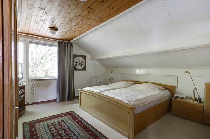 Foto 17 van het Boerrigter 41