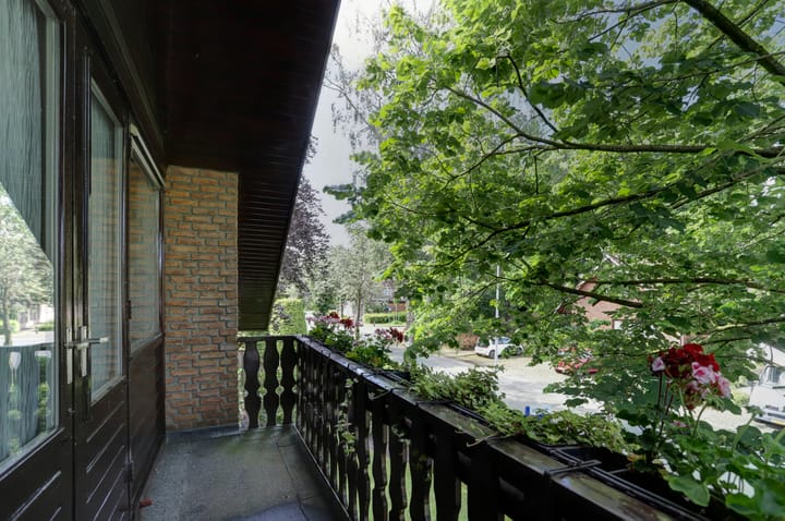 Foto 22 van het Boerrigter 41