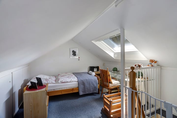 Foto 30 van het Boerrigter 41