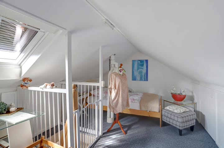 Foto 31 van het Boerrigter 41