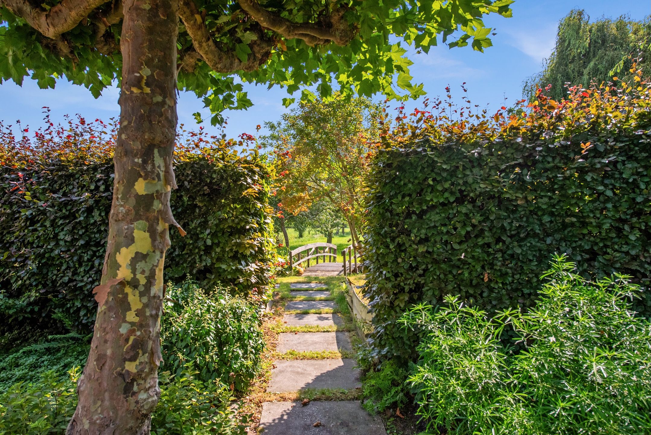 Photo 33 of Westvlietweg 129