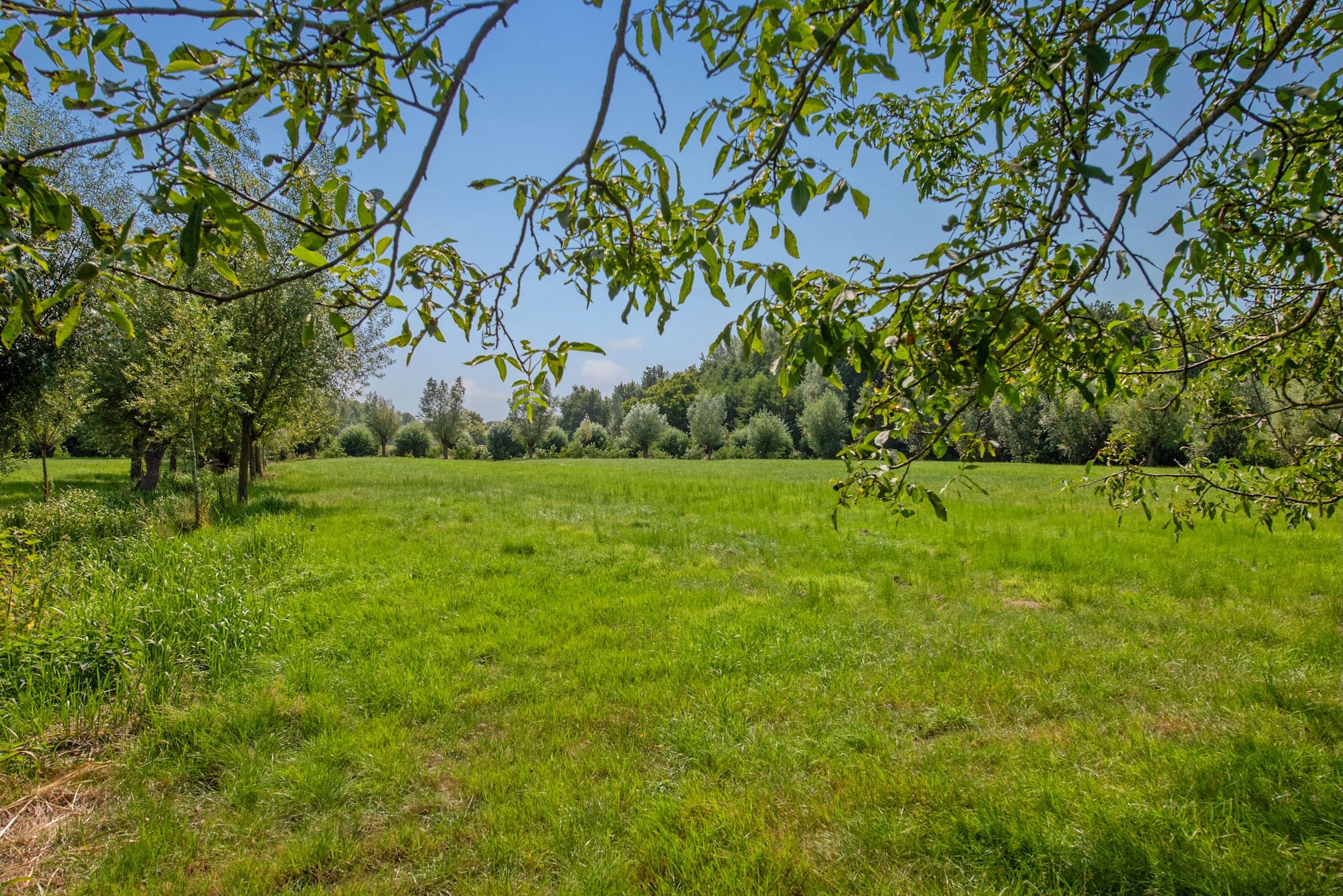 Photo 57 of Westvlietweg 129