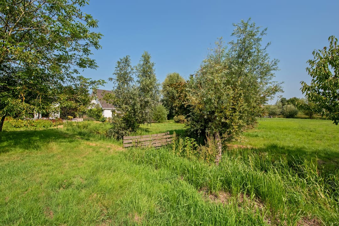 Photo 58 of Westvlietweg 129