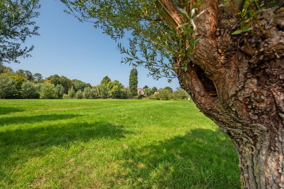 Photo 62 of Westvlietweg 129