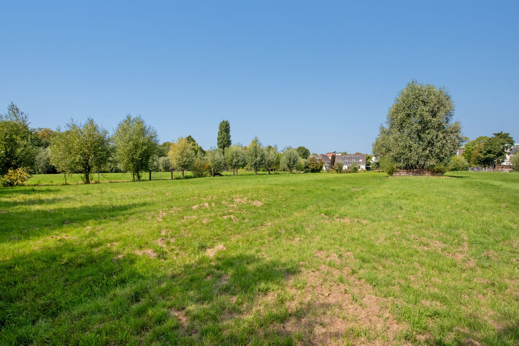 Photo 63 of Westvlietweg 129