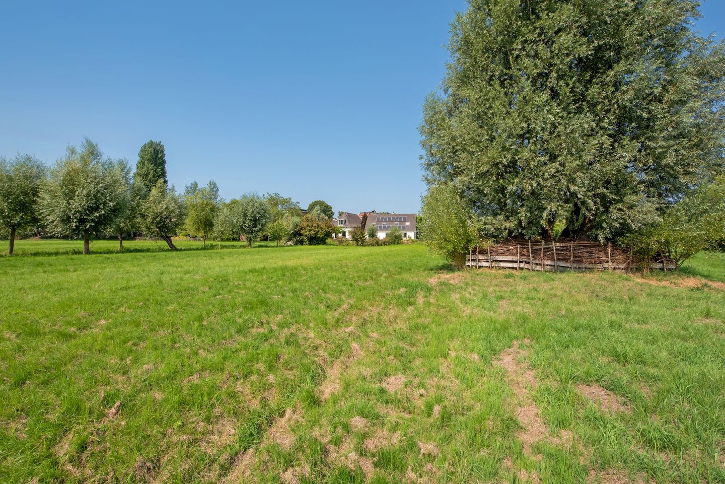 Photo 64 of Westvlietweg 129