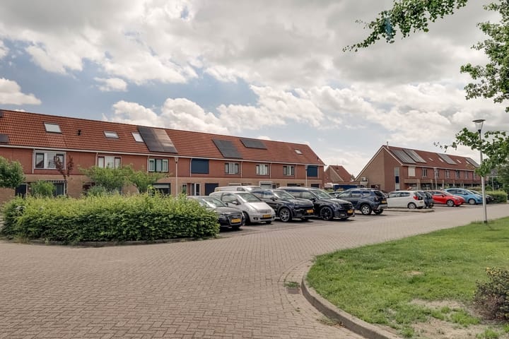 Foto 48 van Roerdomp 16