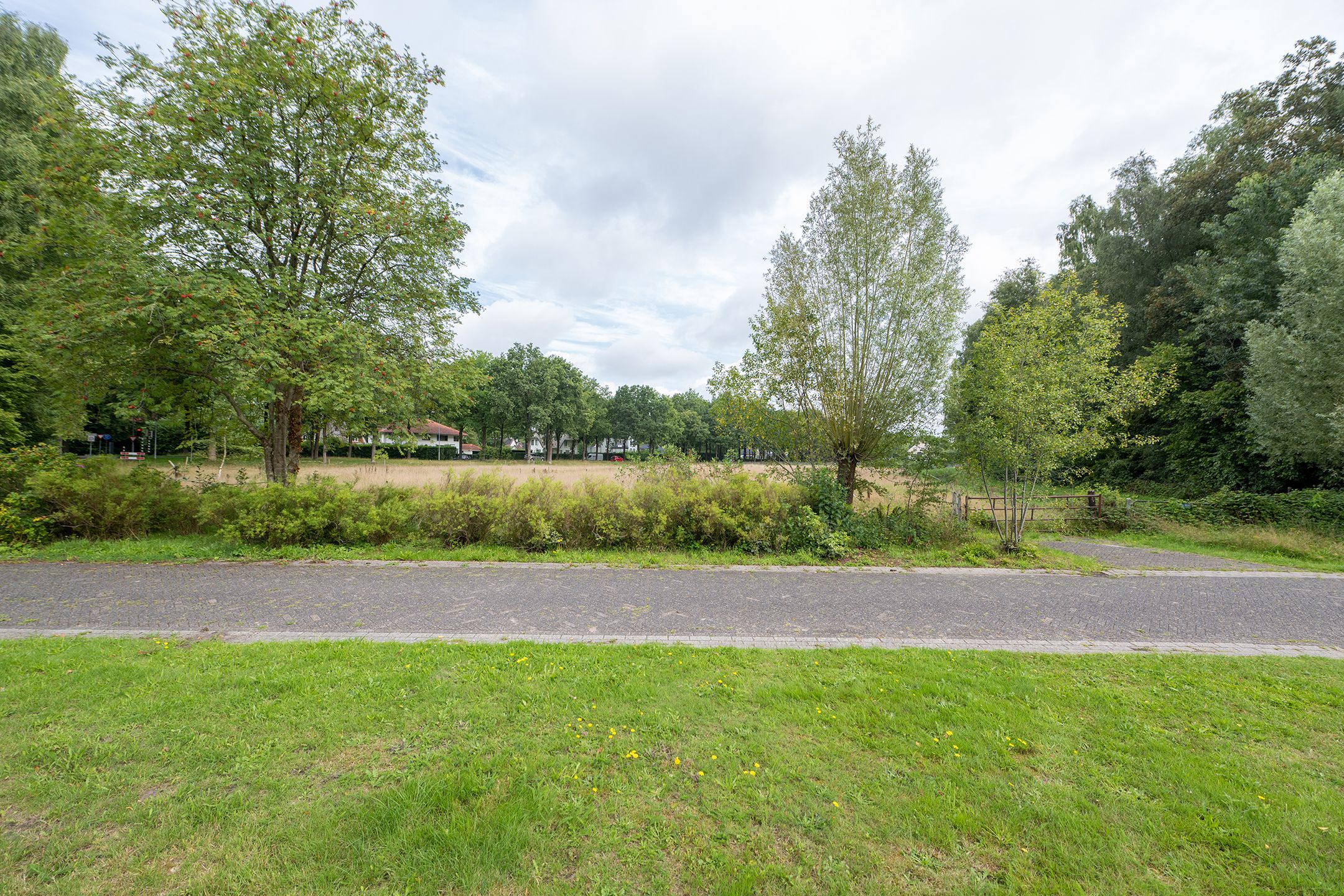 Photo 45 of Wilgenlaan 24