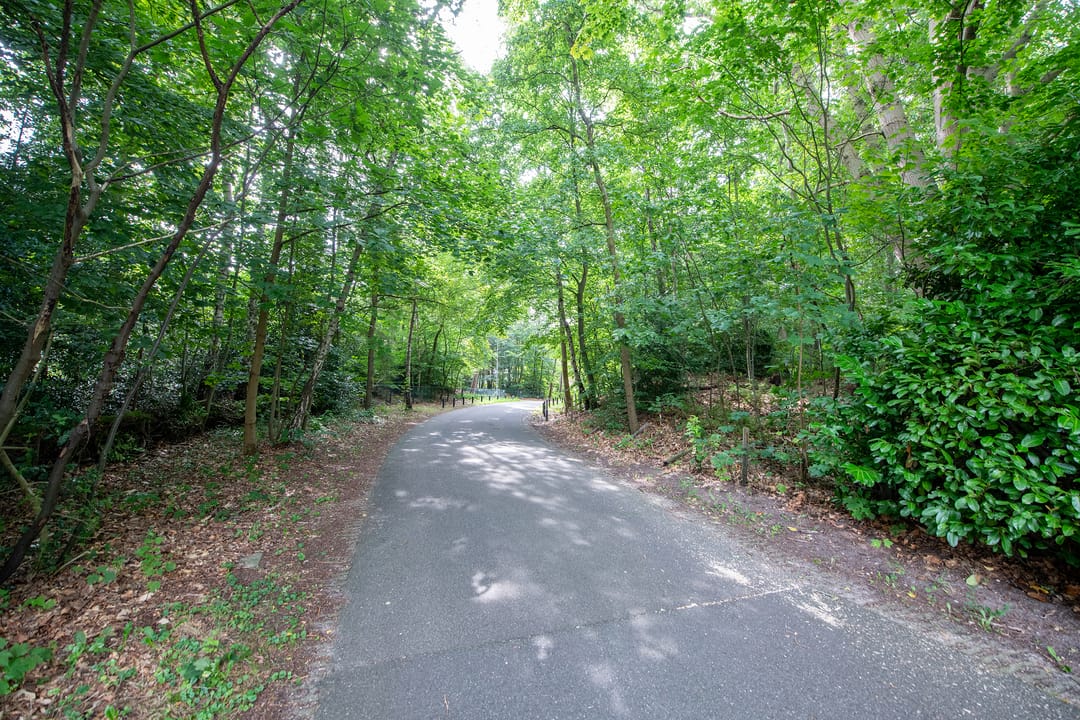 Photo 46 of Wilgenlaan 24