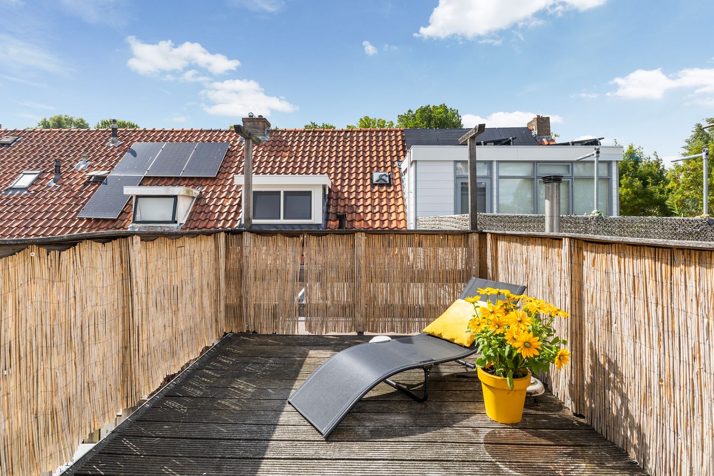 Foto 40 van van der Wielenstraat 4