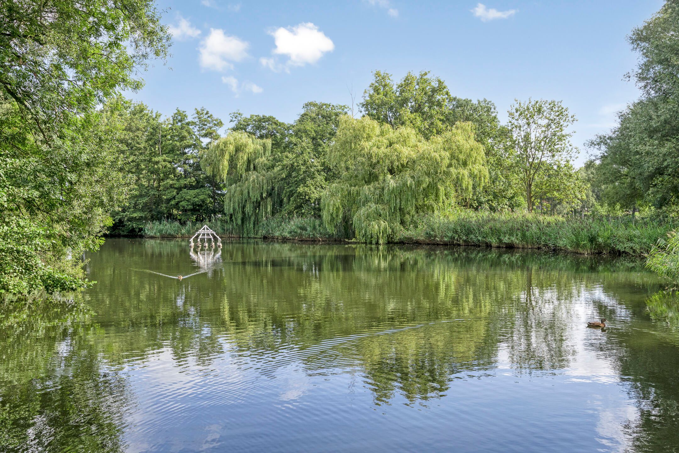 Photo 33 of Klaverweide 19