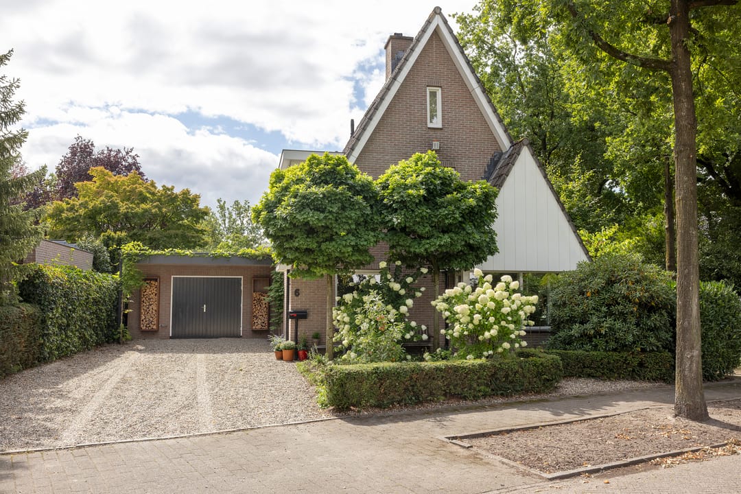 Foto 2 van Zijdemos 6