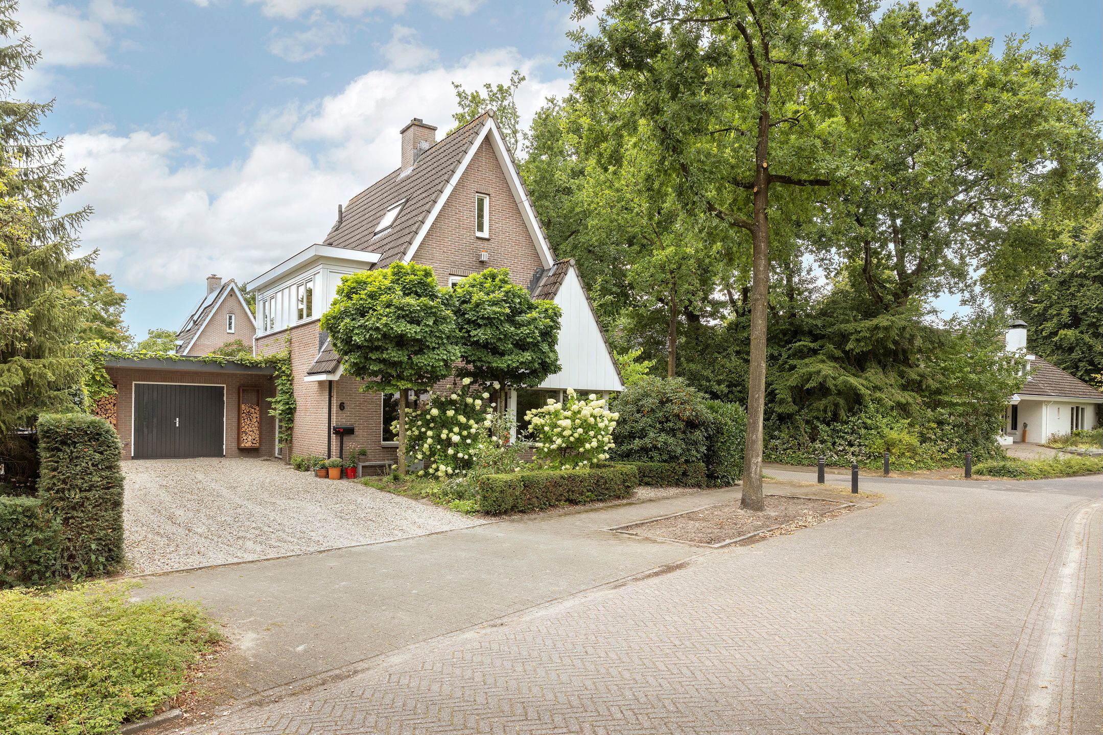 Foto 3 van Zijdemos 6