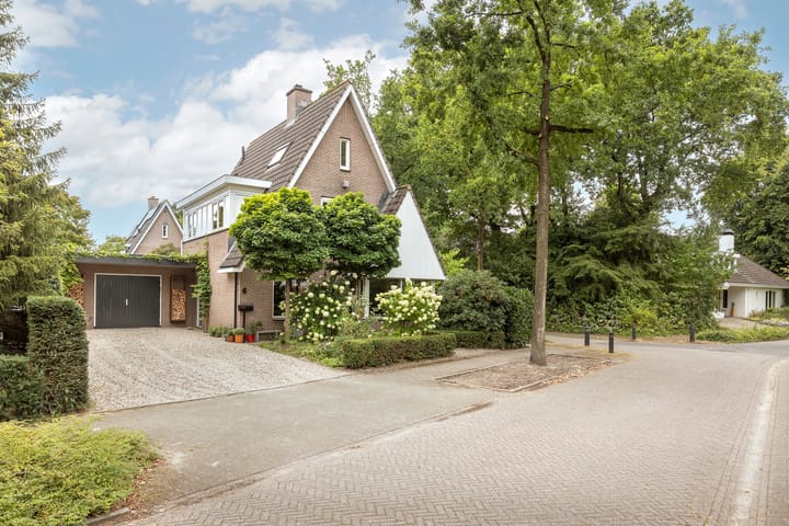 Photo 3 of Zijdemos 6