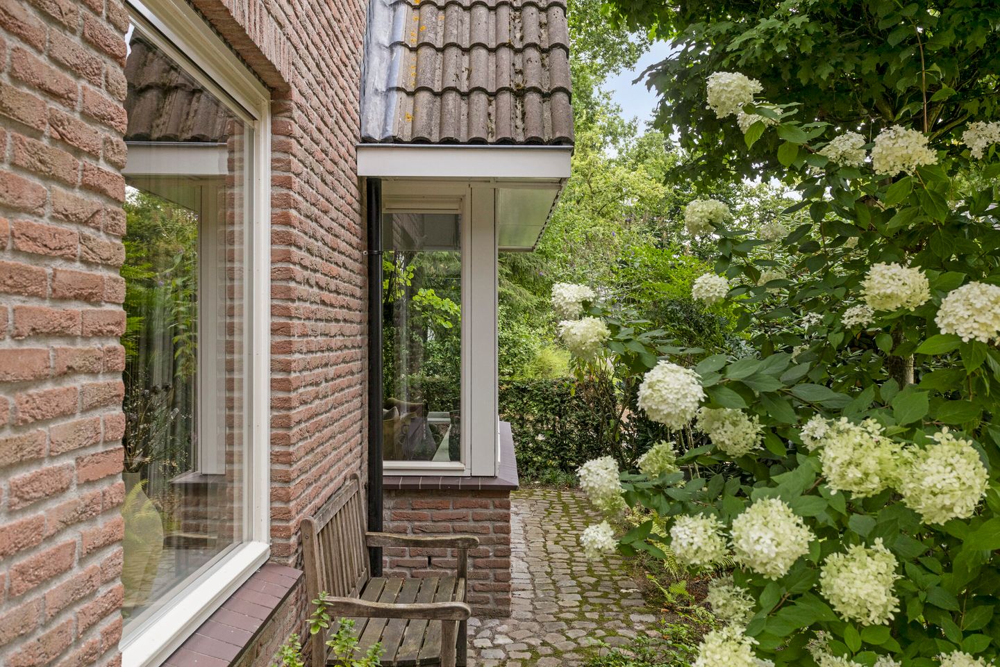 Foto 4 van Zijdemos 6