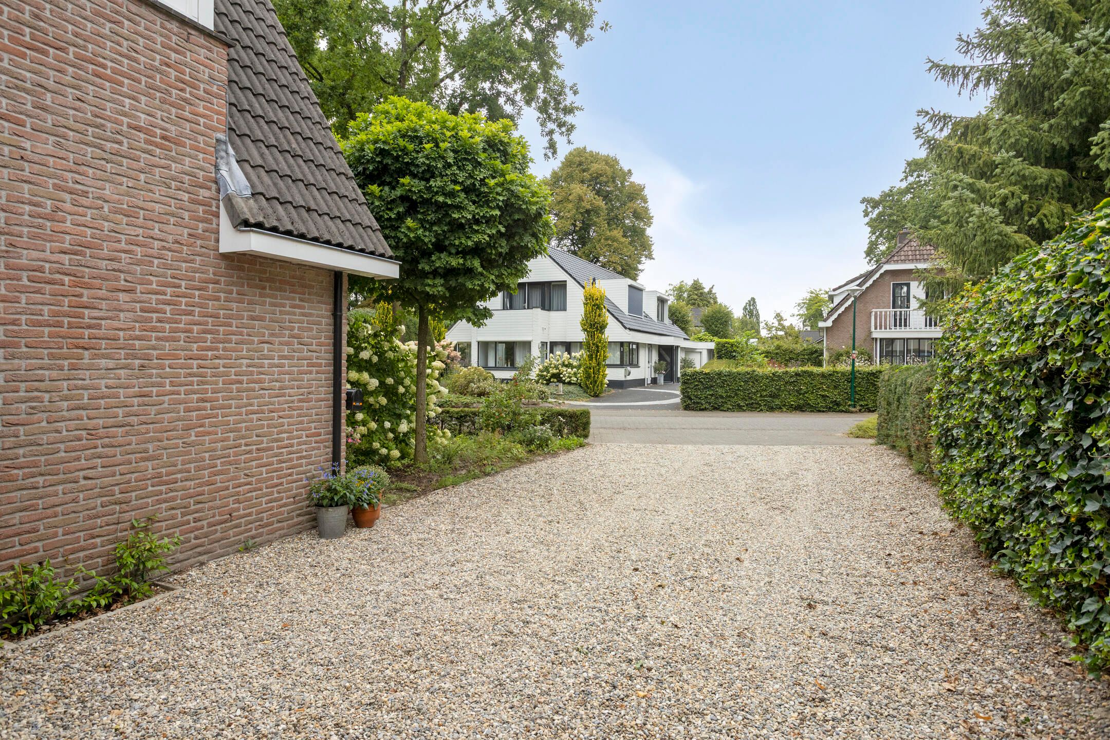 Foto 6 van Zijdemos 6