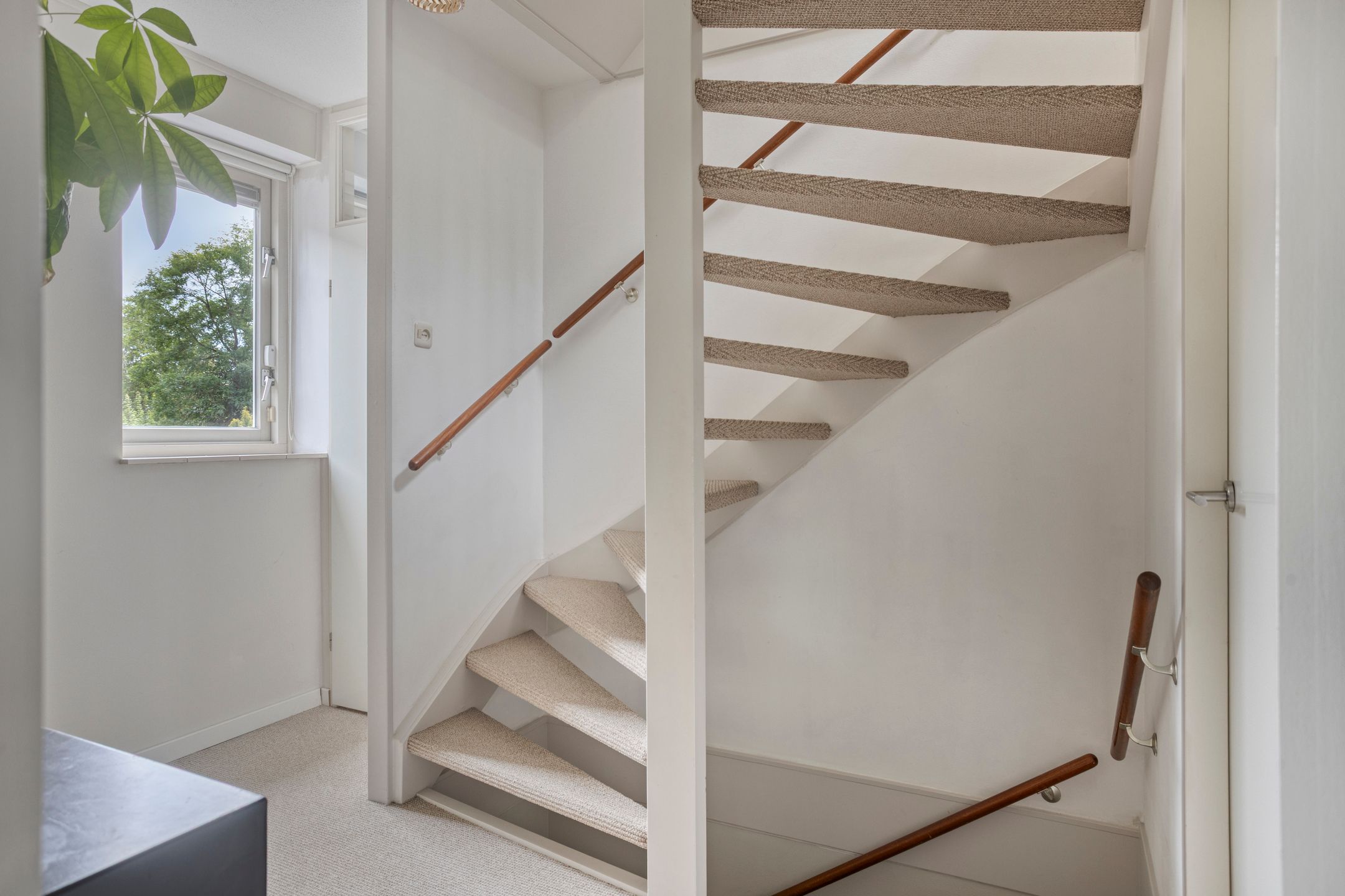 Foto 27 van Zijdemos 6