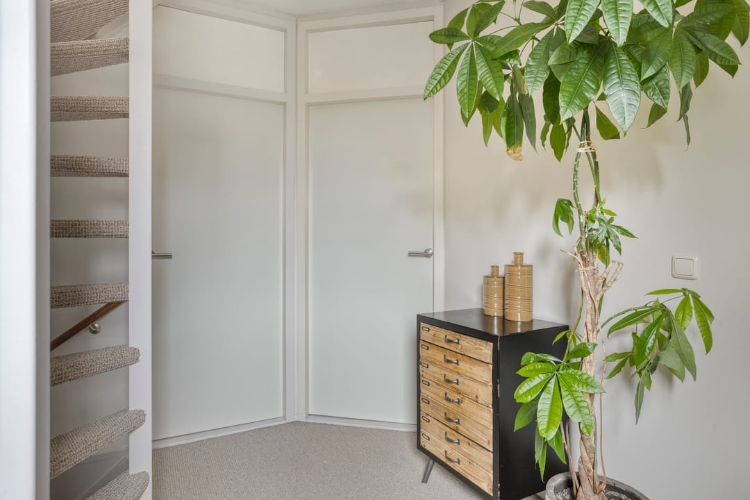 Foto 28 van Zijdemos 6