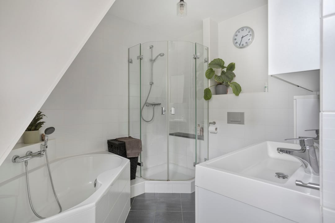 Foto 31 van Zijdemos 6