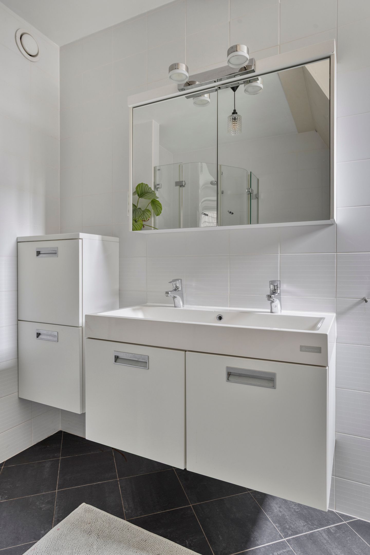 Foto 34 van Zijdemos 6