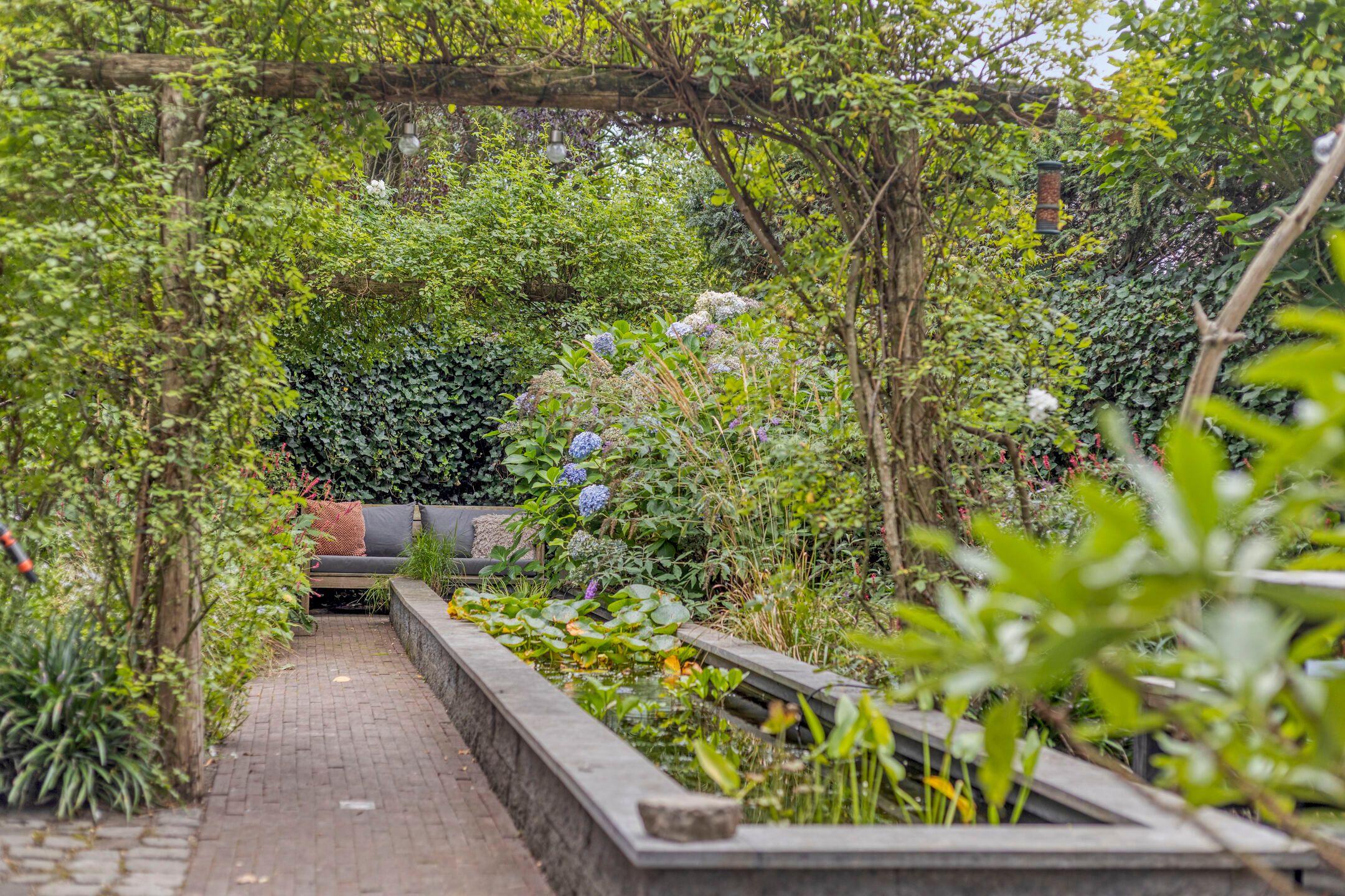 Foto 45 van Zijdemos 6