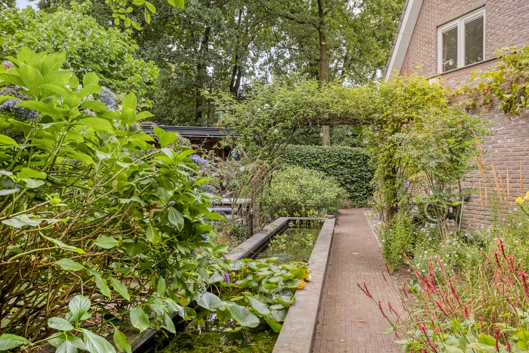 Foto 46 van Zijdemos 6