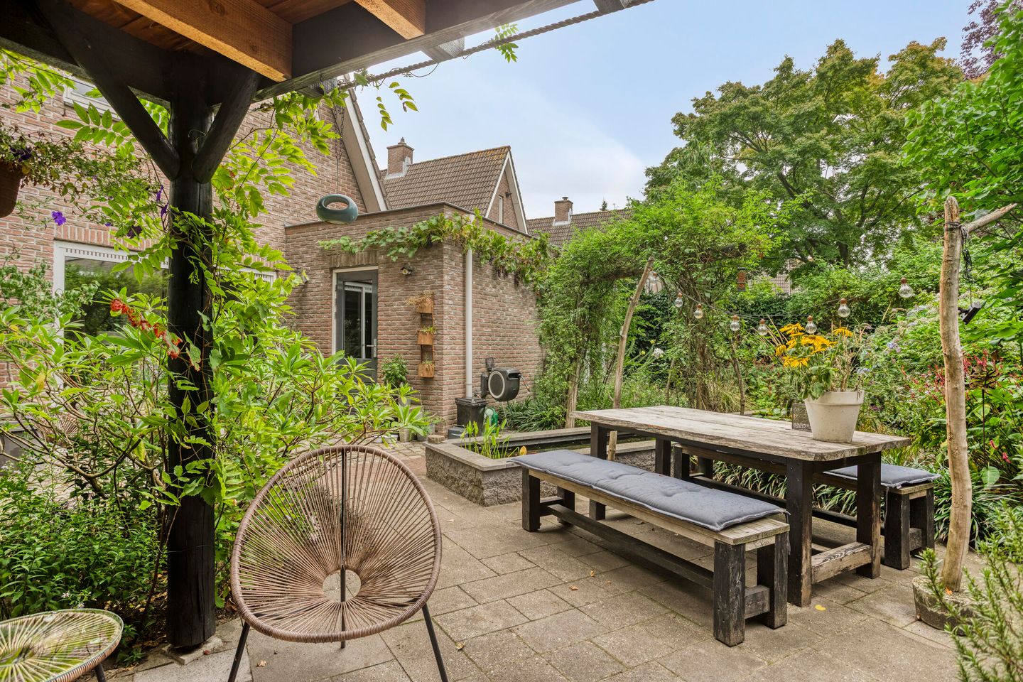 Foto 49 van Zijdemos 6