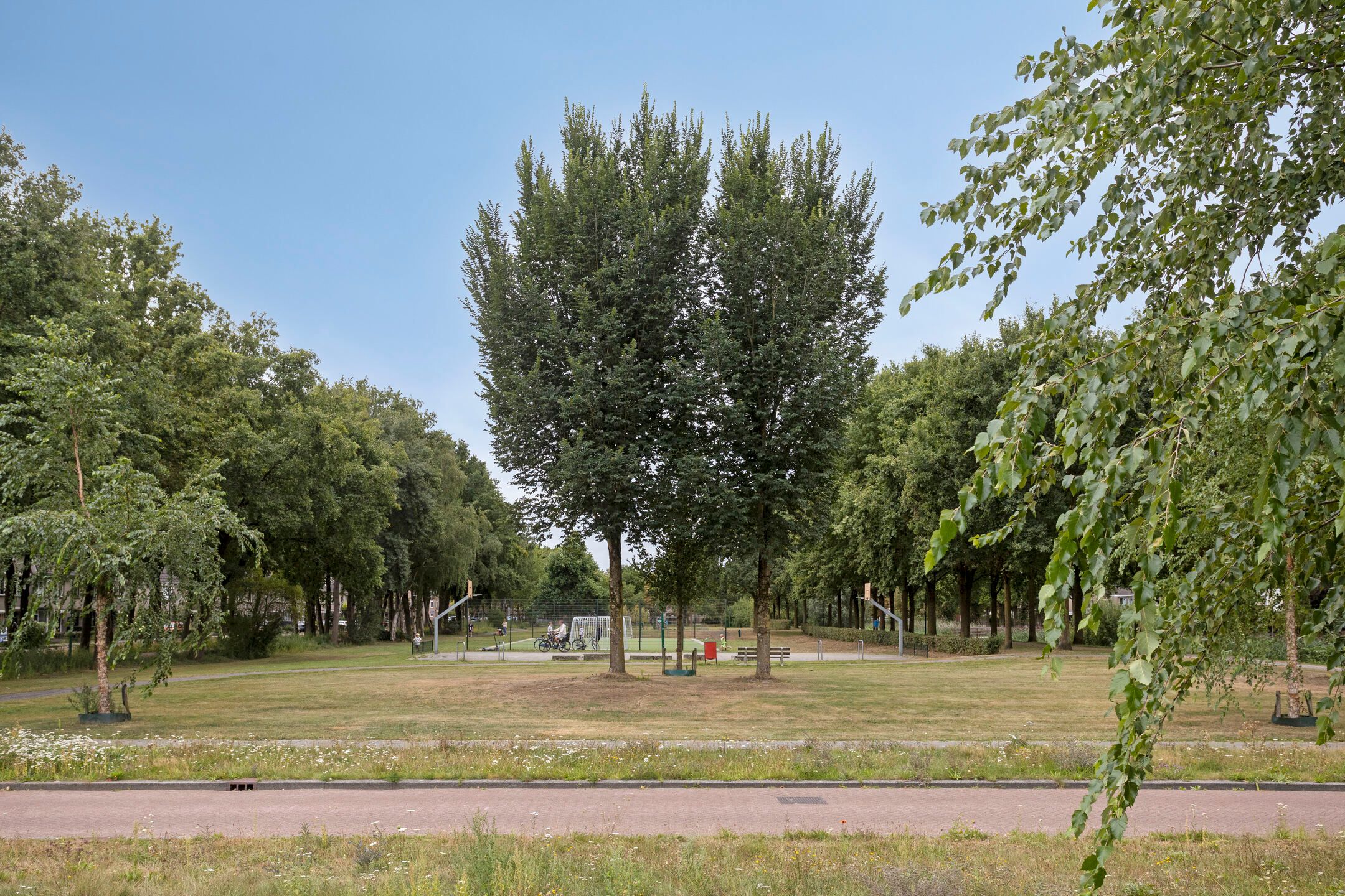 Foto 51 van Zijdemos 6