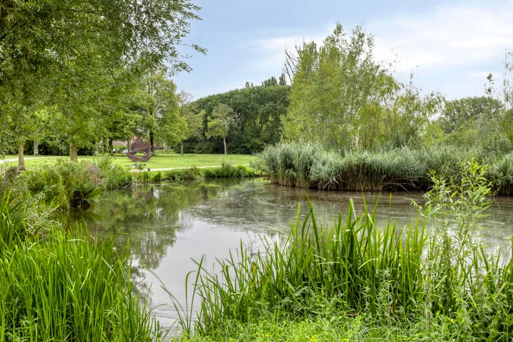 Foto 4 van Graaf Adolfstraat 168