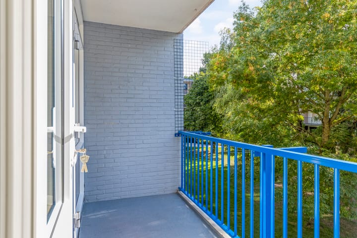 Foto 7 van J.H.Leopoldhof 60