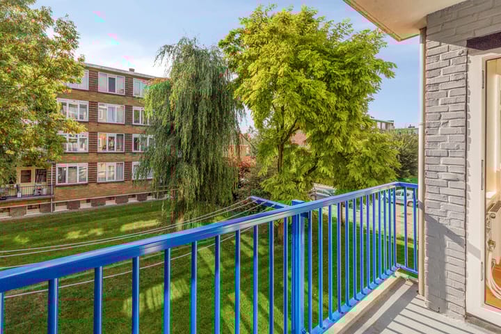 Foto 8 van J.H.Leopoldhof 60