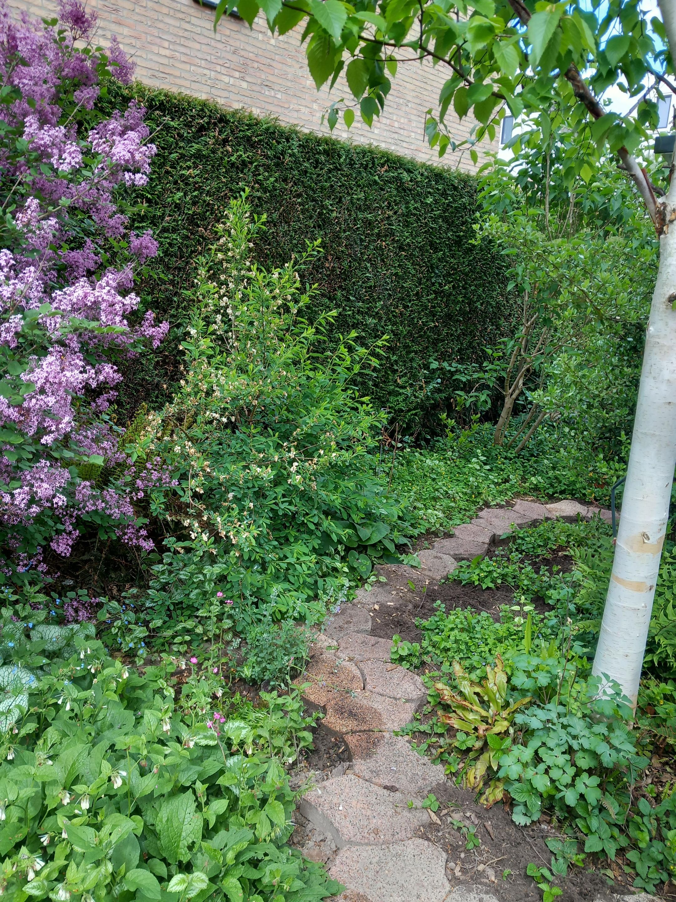 Foto 30 van Beumerskamp 37