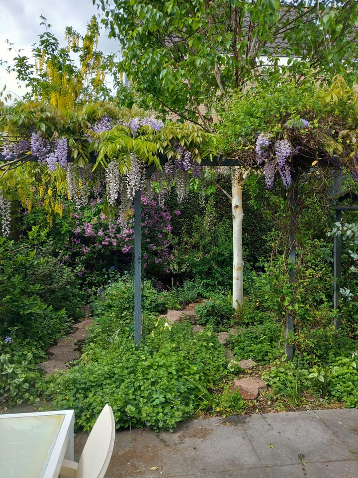 Foto 31 van Beumerskamp 37