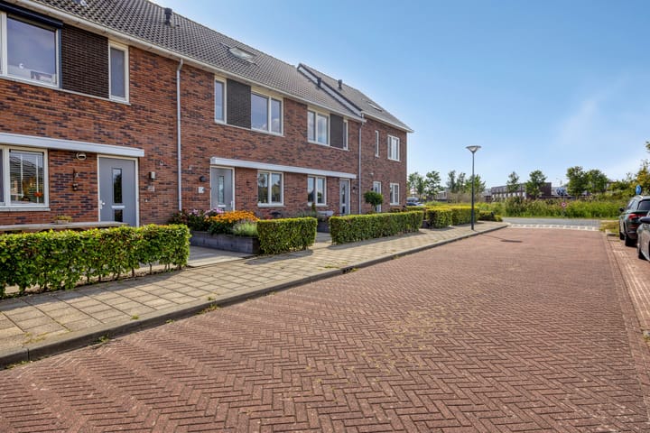 Foto 6 van Krypton 4