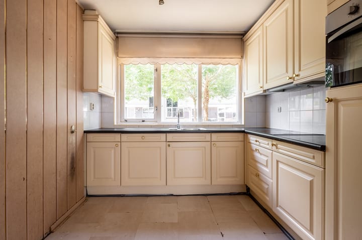 Photo 8 of Buziaupad 6