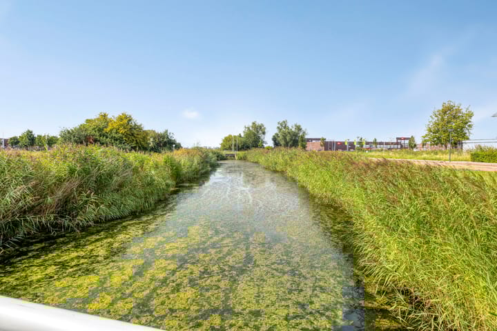 Foto 35 van Krypton 4