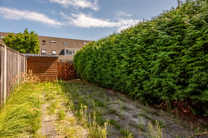 Photo 25 of Buziaupad 6