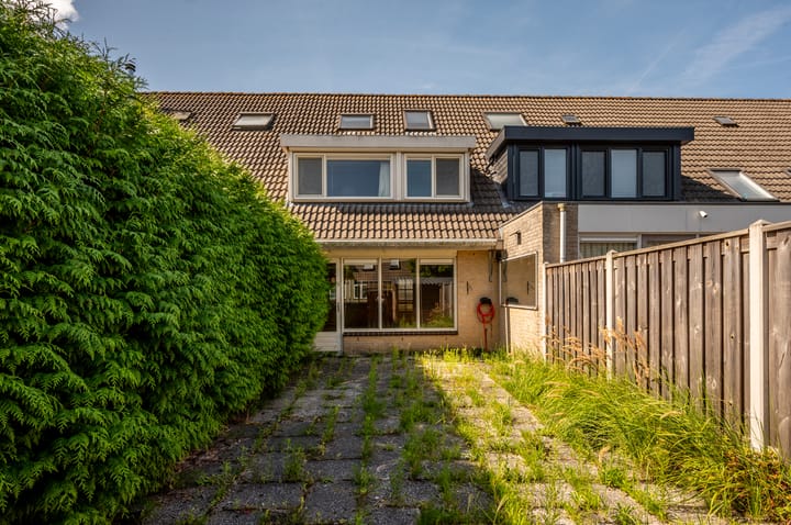 Photo 26 of Buziaupad 6