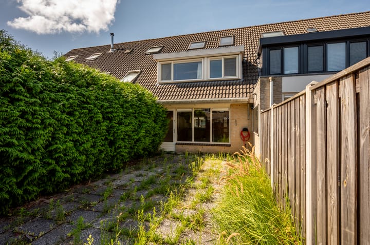 Photo 27 of Buziaupad 6