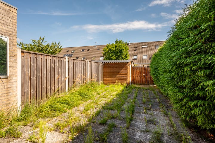 Photo 28 of Buziaupad 6