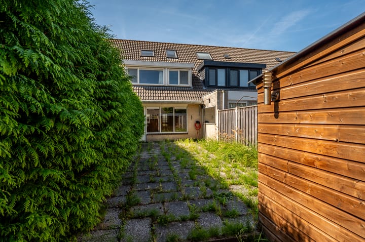 Photo 29 of Buziaupad 6