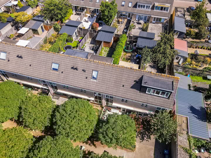 Photo 31 of Buziaupad 6