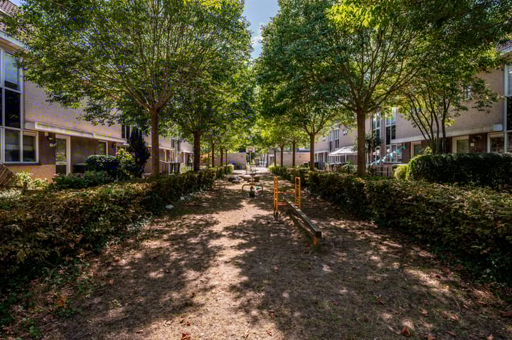 Photo 33 of Buziaupad 6