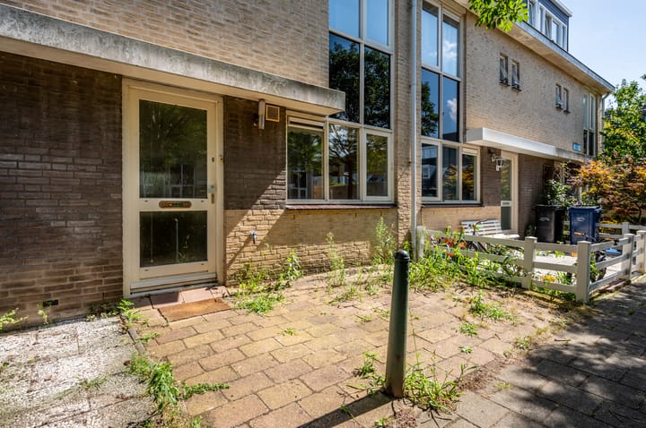 Photo 36 of Buziaupad 6