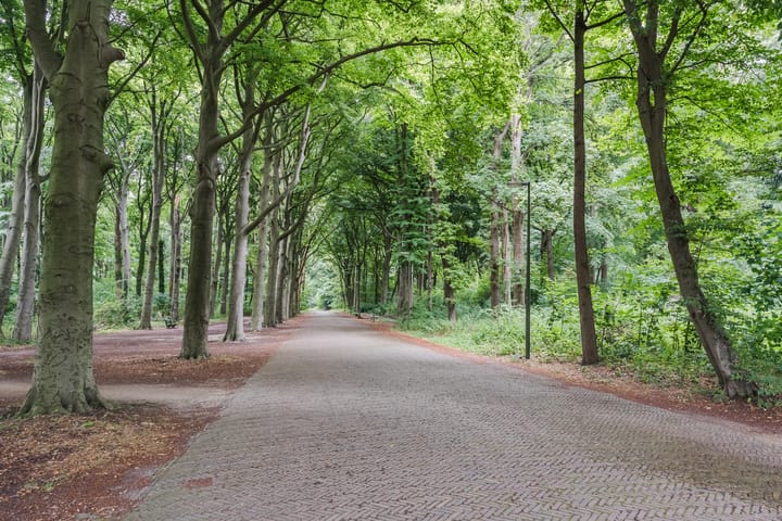 Foto 65 van Roelofsstraat 25